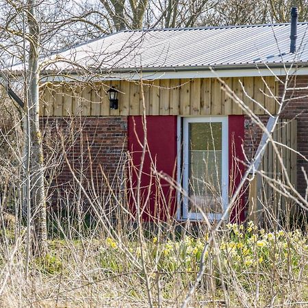 Deichgraf 1 Apartment Friedrichskoog Bagian luar foto