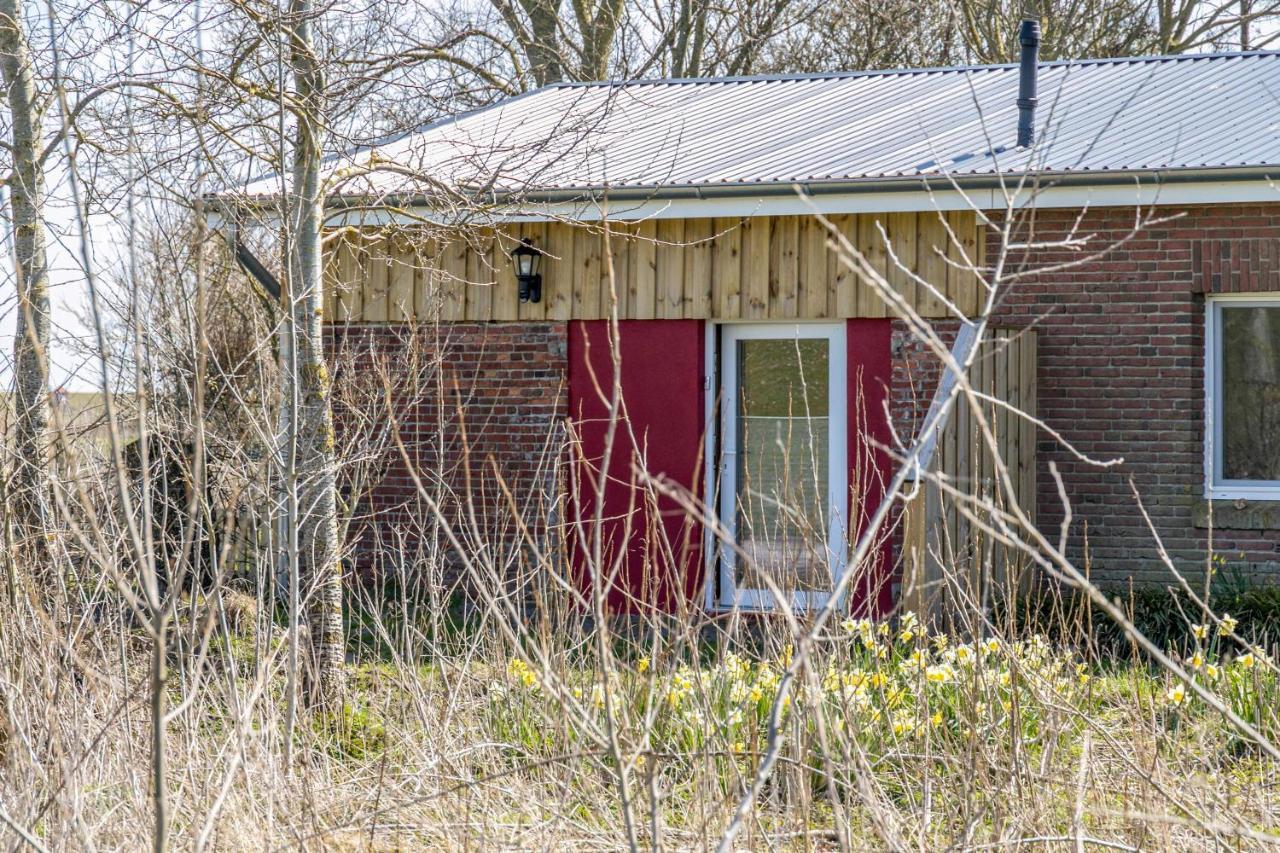 Deichgraf 1 Apartment Friedrichskoog Bagian luar foto
