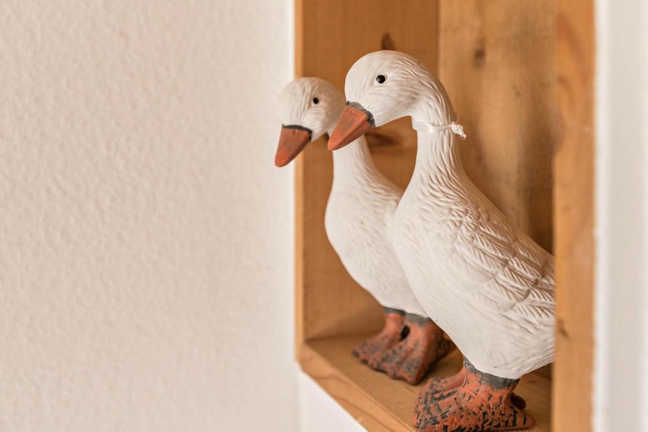 Deichgraf 1 Apartment Friedrichskoog Bagian luar foto