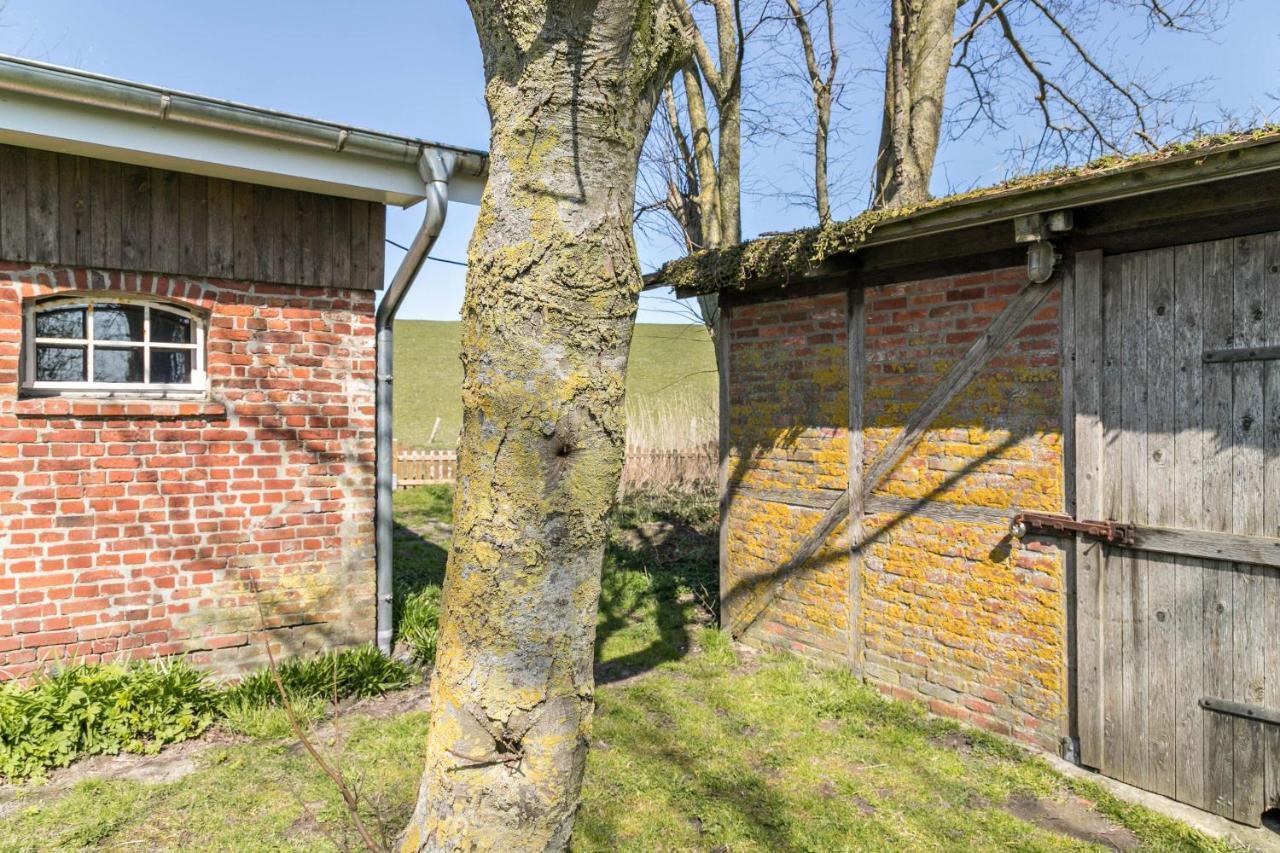 Deichgraf 1 Apartment Friedrichskoog Bagian luar foto