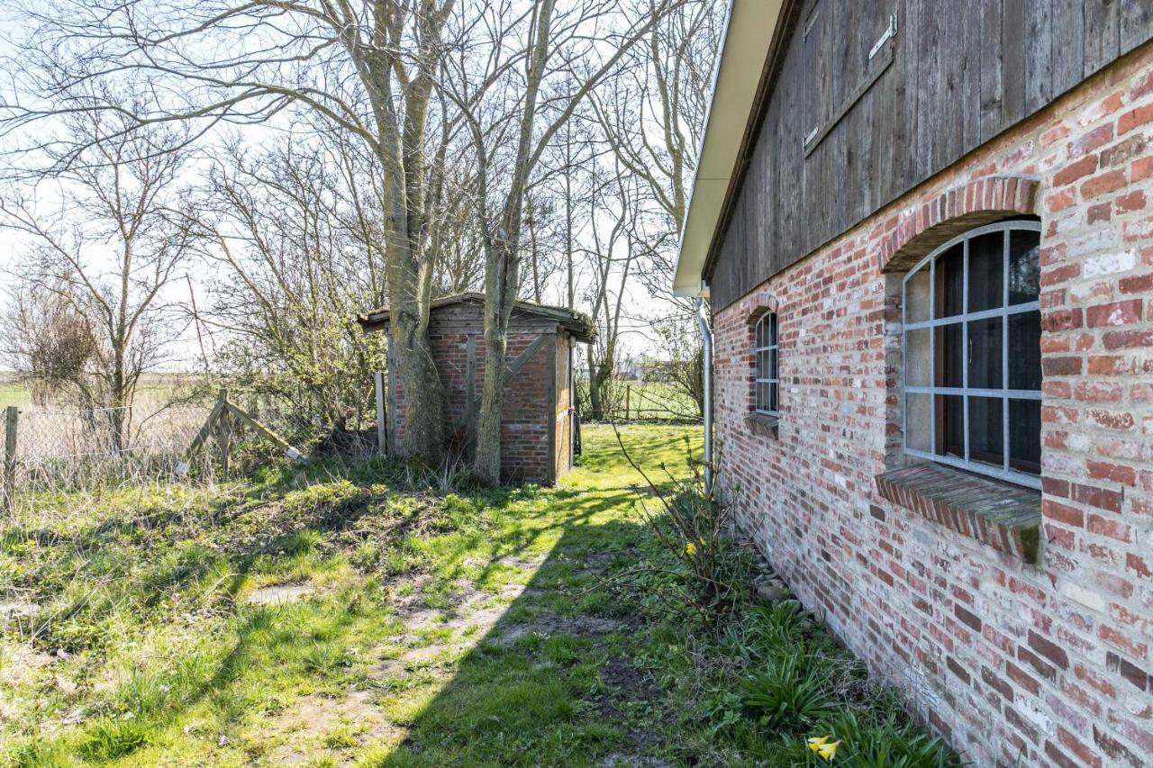 Deichgraf 1 Apartment Friedrichskoog Bagian luar foto